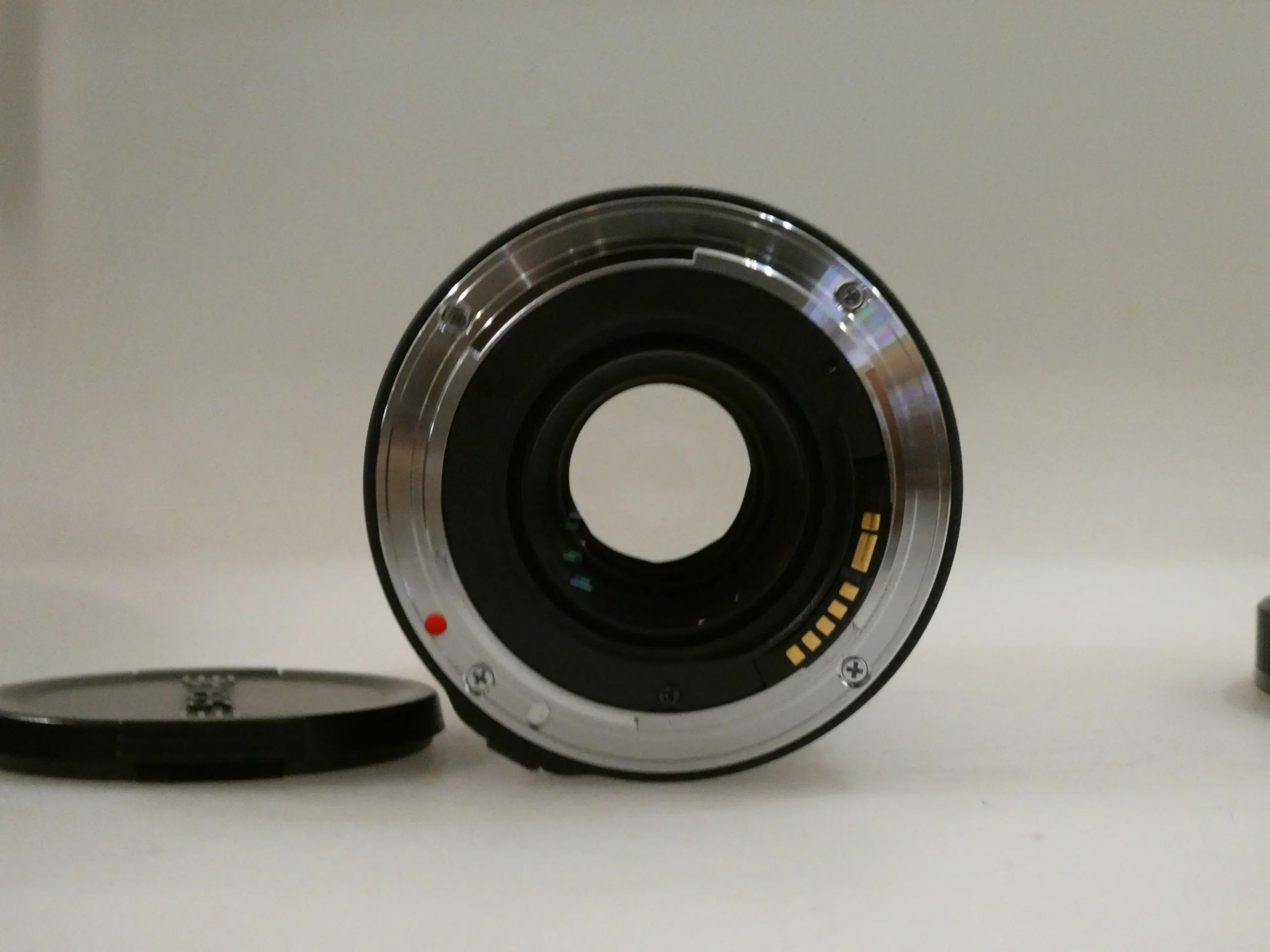 Sigma 105mm f/2.8 EX DG Macro - immagine 3